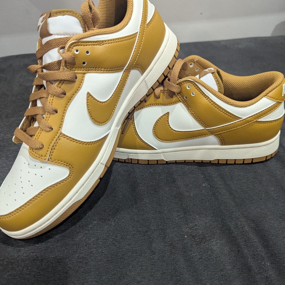 Nike Dunk Low Retro